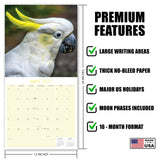 Cockatoos Wall Calendar 2027 - 12" x 12" Monthly Bird Breed Calendar