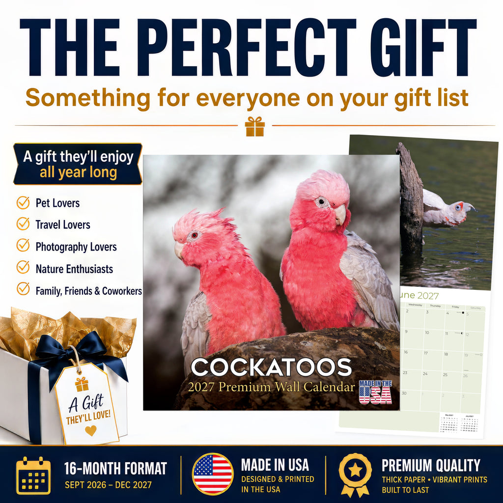 Cockatoos Wall Calendar 2027 - 12" x 12" Monthly Bird Breed Calendar