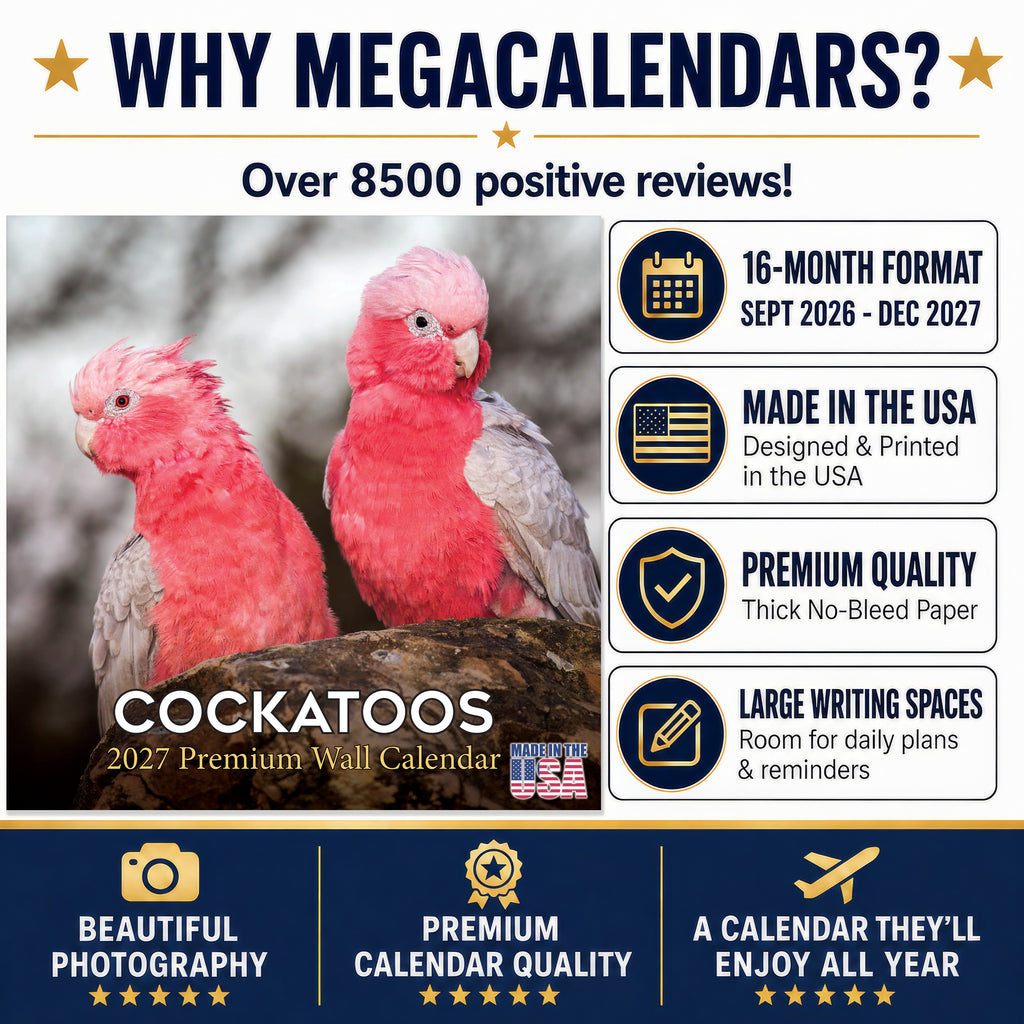 Cockatoos Wall Calendar 2027 - 12" x 12" Monthly Bird Breed Calendar