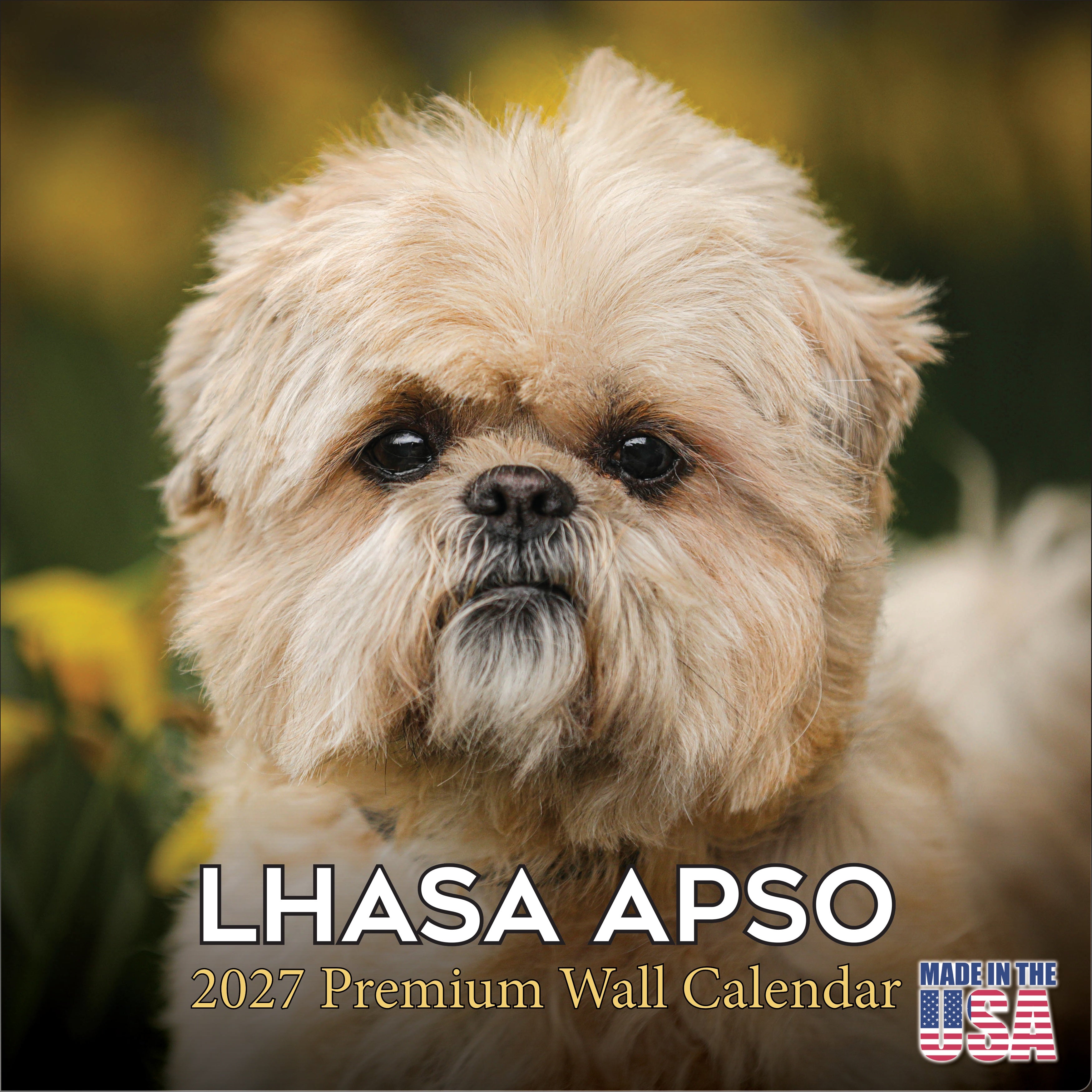 Lhasa Apso Wall Calendar 2027 - 12