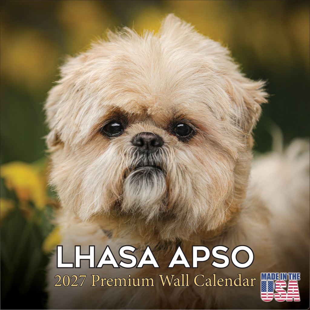 Lhasa Apso Wall Calendar 2027 - 12" x 12" Monthly Regal Long-Haired & Sentinel Tibetan Companion Calendar