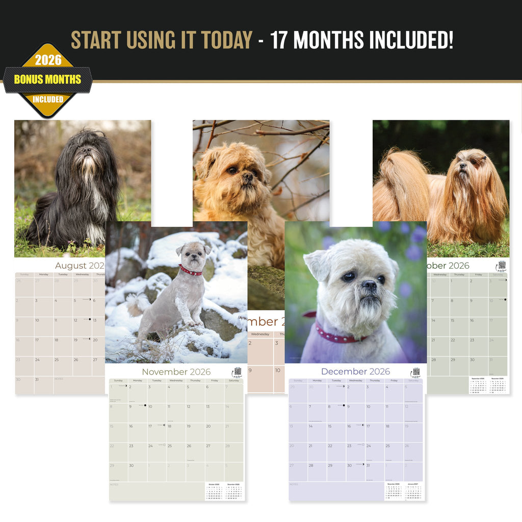Lhasa Apso Wall Calendar 2027 - 12" x 12" Monthly Regal Long-Haired & Sentinel Tibetan Companion Calendar