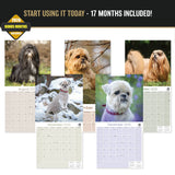 Lhasa Apso Wall Calendar 2027 - 12" x 12" Monthly Regal Long-Haired & Sentinel Tibetan Companion Calendar