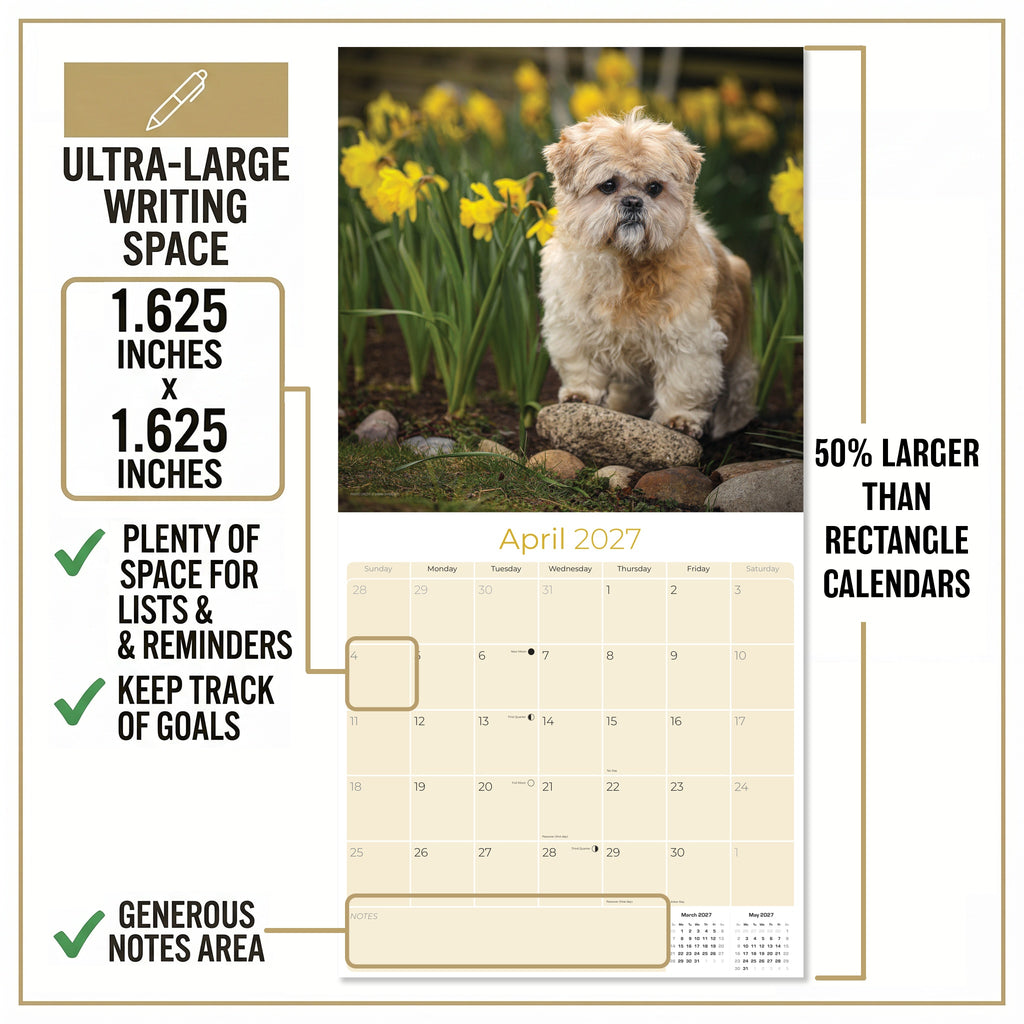 Lhasa Apso Wall Calendar 2027 - 12" x 12" Monthly Regal Long-Haired & Sentinel Tibetan Companion Calendar