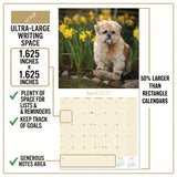 Lhasa Apso Wall Calendar 2027 - 12" x 12" Monthly Regal Long-Haired & Sentinel Tibetan Companion Calendar