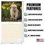 Lhasa Apso Wall Calendar 2027 - 12" x 12" Monthly Regal Long-Haired & Sentinel Tibetan Companion Calendar