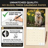 Lhasa Apso Wall Calendar 2027 - 12" x 12" Monthly Regal Long-Haired & Sentinel Tibetan Companion Calendar