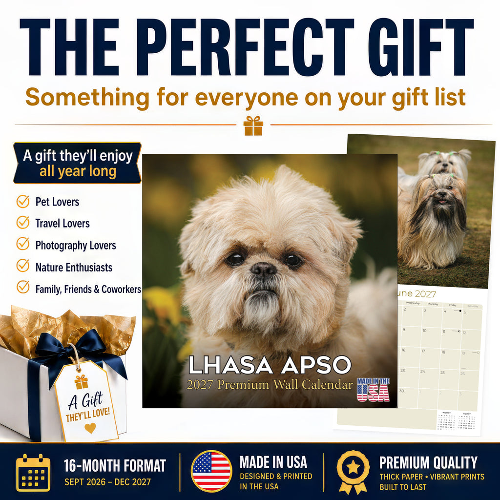 Lhasa Apso Wall Calendar 2027 - 12" x 12" Monthly Regal Long-Haired & Sentinel Tibetan Companion Calendar