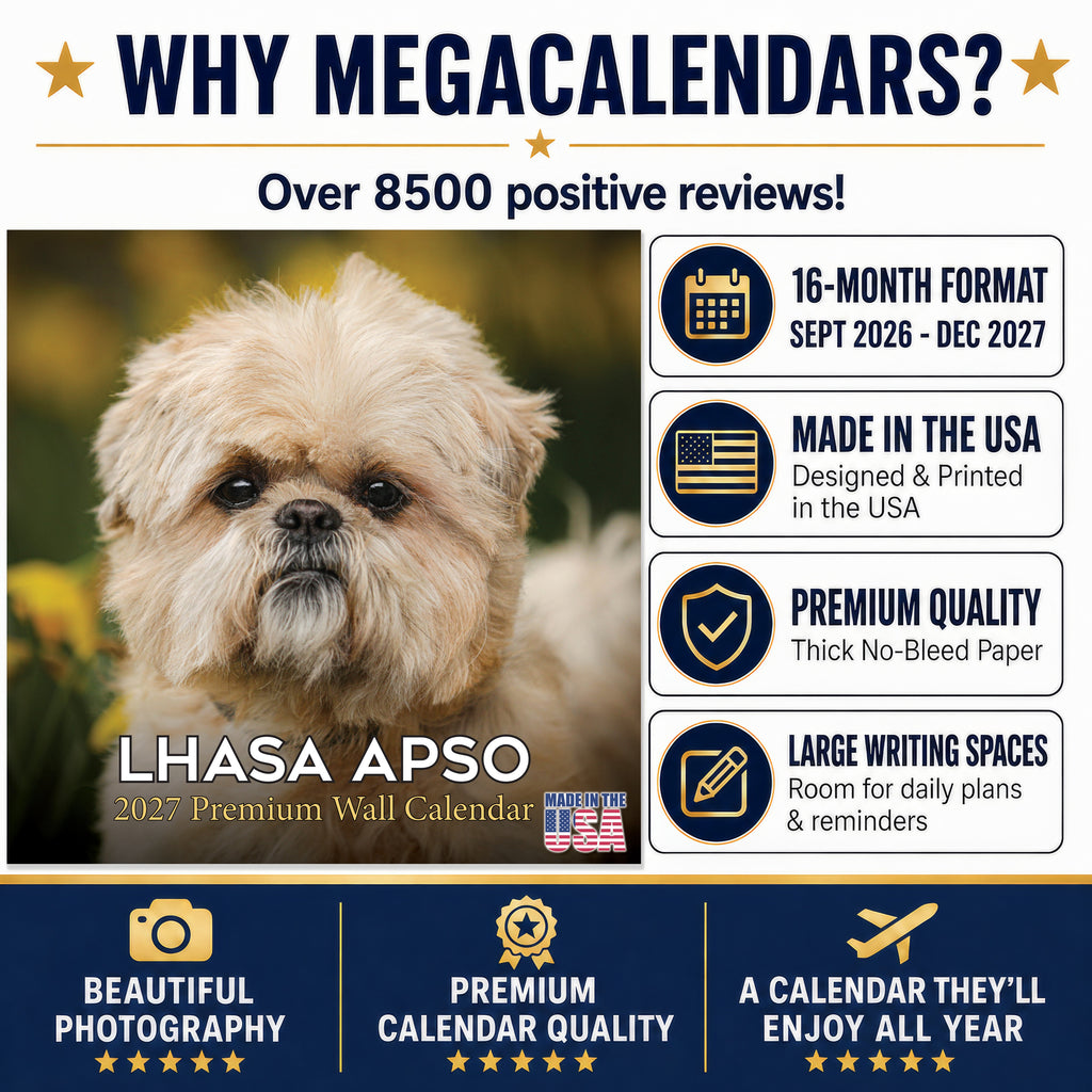 Lhasa Apso Wall Calendar 2027 - 12" x 12" Monthly Regal Long-Haired & Sentinel Tibetan Companion Calendar