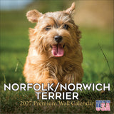 Norwich & Norfolk Terrier Wall Calendar 2027 - 12" x 12" Monthly Spirited Small & Wire Coat British Terrier Calendar