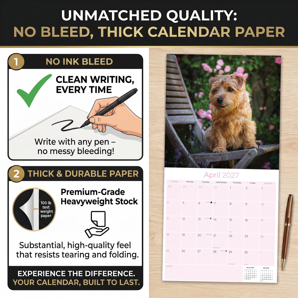 Norwich & Norfolk Terrier Wall Calendar 2027 - 12" x 12" Monthly Spirited Small & Wire Coat British Terrier Calendar