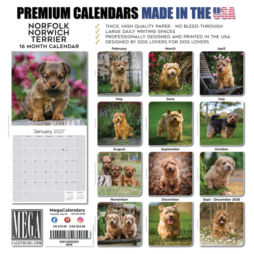 Norwich & Norfolk Terrier Wall Calendar 2027 - 12" x 12" Monthly Spirited Small & Wire Coat British Terrier Calendar