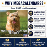 Norwich & Norfolk Terrier Wall Calendar 2027 - 12" x 12" Monthly Spirited Small & Wire Coat British Terrier Calendar