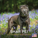Shar Pei Wall Calendar 2027 - 12" x 12" Monthly Loyal & Independent Wrinkle Dog Breed Calendar