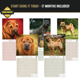 Shar Pei Wall Calendar 2027 - 12" x 12" Monthly Loyal & Independent Wrinkle Dog Breed Calendar