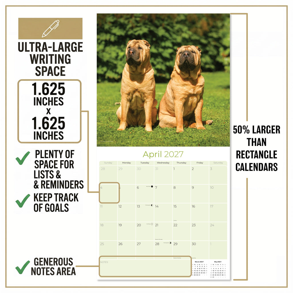 Shar Pei Wall Calendar 2027 - 12" x 12" Monthly Loyal & Independent Wrinkle Dog Breed Calendar