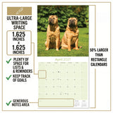 Shar Pei Wall Calendar 2027 - 12" x 12" Monthly Loyal & Independent Wrinkle Dog Breed Calendar