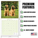 Shar Pei Wall Calendar 2027 - 12" x 12" Monthly Loyal & Independent Wrinkle Dog Breed Calendar