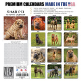 Shar Pei Wall Calendar 2027 - 12" x 12" Monthly Loyal & Independent Wrinkle Dog Breed Calendar