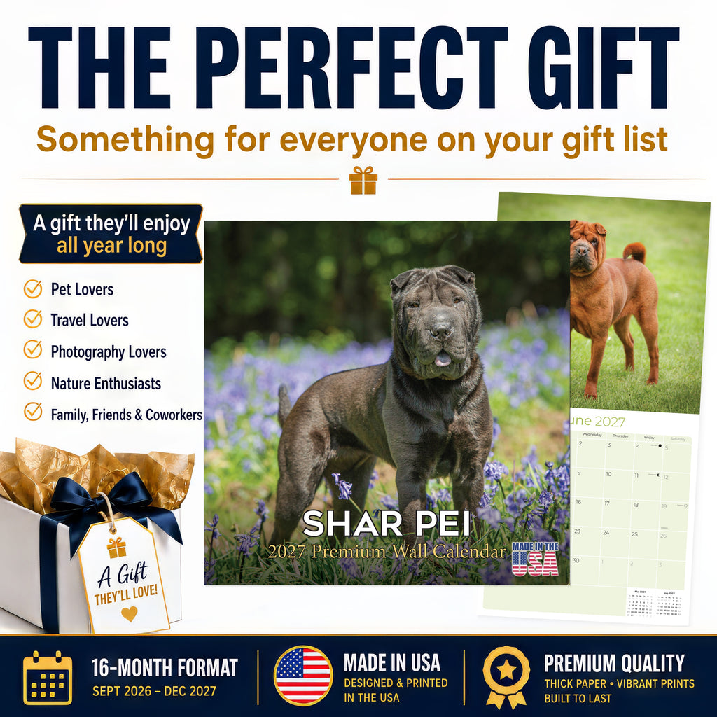 Shar Pei Wall Calendar 2027 - 12" x 12" Monthly Loyal & Independent Wrinkle Dog Breed Calendar