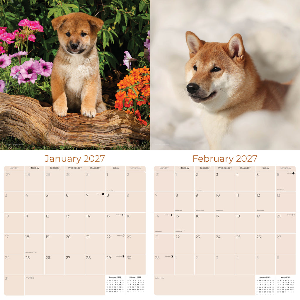 Shiba Inu Wall Calendar 2027 - 12" x 12" Monthly Spirited & Independent Japanese Dog Breed Calendar