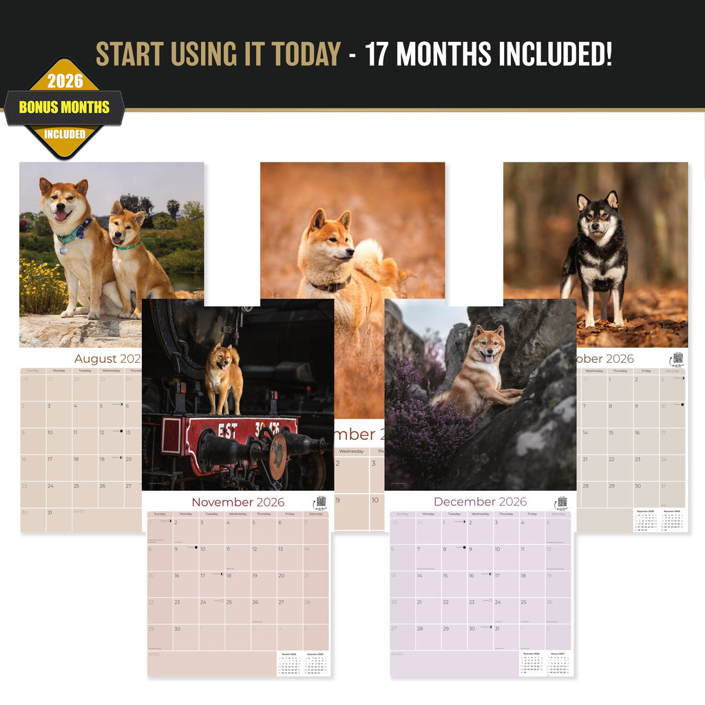 Shiba Inu Wall Calendar 2027 - 12" x 12" Monthly Spirited & Independent Japanese Dog Breed Calendar