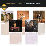 Shiba Inu Wall Calendar 2027 - 12" x 12" Monthly Spirited & Independent Japanese Dog Breed Calendar