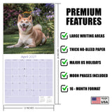 Shiba Inu Wall Calendar 2027 - 12" x 12" Monthly Spirited & Independent Japanese Dog Breed Calendar