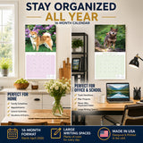 Shiba Inu Wall Calendar 2027 - 12" x 12" Monthly Spirited & Independent Japanese Dog Breed Calendar
