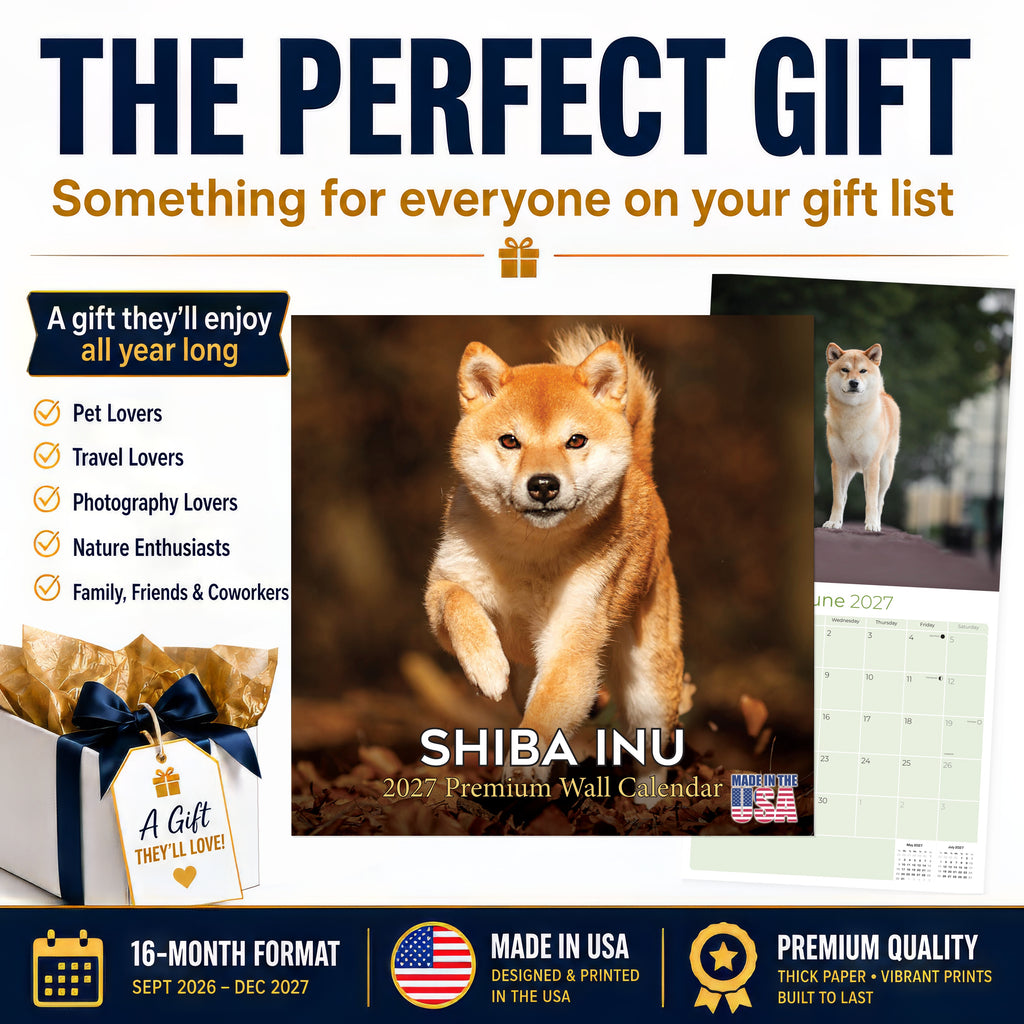 Shiba Inu Wall Calendar 2027 - 12" x 12" Monthly Spirited & Independent Japanese Dog Breed Calendar