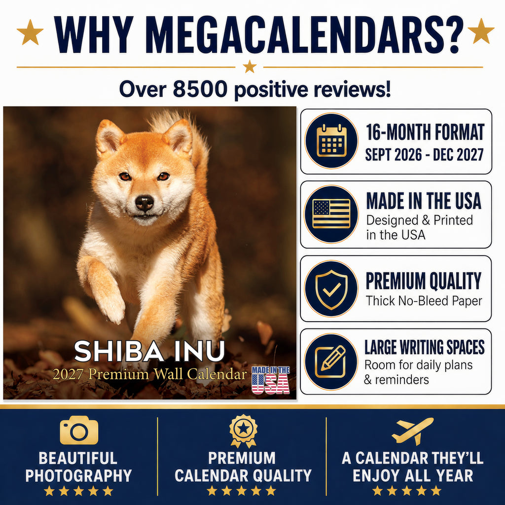 Shiba Inu Wall Calendar 2027 - 12" x 12" Monthly Spirited & Independent Japanese Dog Breed Calendar