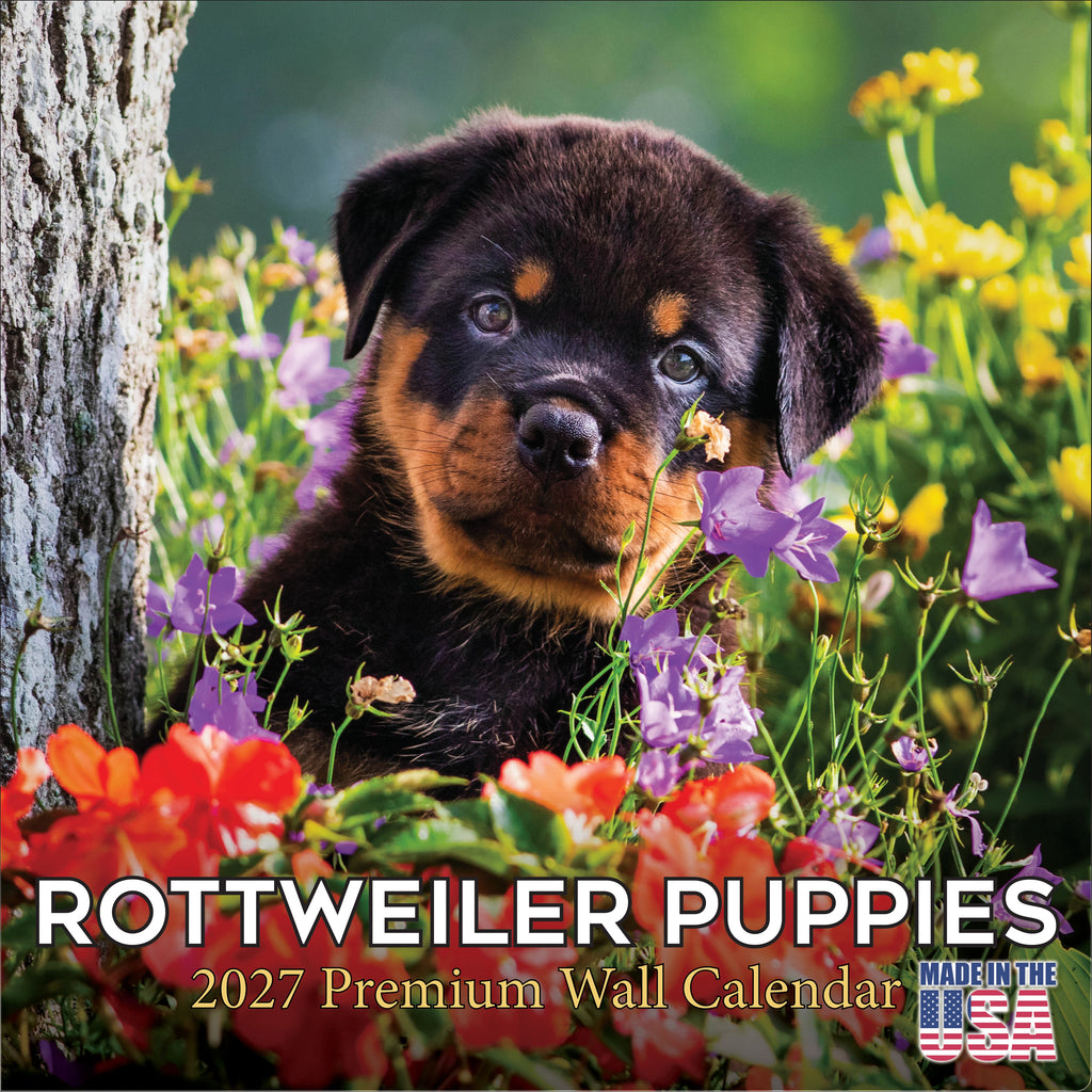 Rottweiler Puppies Wall Calendar 2027 - 12" x 12" Monthly Heartwarming & Playful Rottie Puppy Breed Calendar
