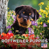 Rottweiler Puppies Wall Calendar 2027 - 12" x 12" Monthly Heartwarming & Playful Rottie Puppy Breed Calendar