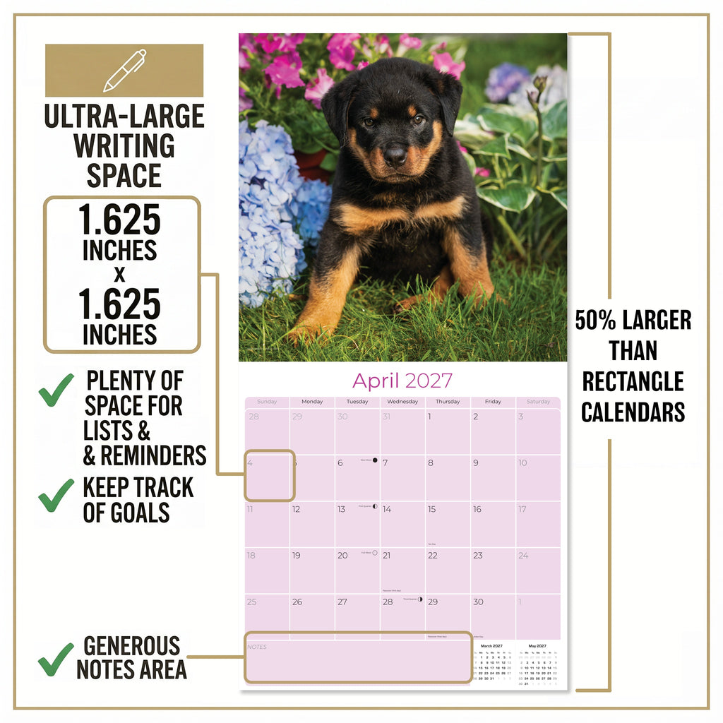 Rottweiler Puppies Wall Calendar 2027 - 12" x 12" Monthly Heartwarming & Playful Rottie Puppy Breed Calendar