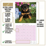 Rottweiler Puppies Wall Calendar 2027 - 12" x 12" Monthly Heartwarming & Playful Rottie Puppy Breed Calendar