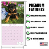 Rottweiler Puppies Wall Calendar 2027 - 12" x 12" Monthly Heartwarming & Playful Rottie Puppy Breed Calendar
