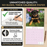 Rottweiler Puppies Wall Calendar 2027 - 12" x 12" Monthly Heartwarming & Playful Rottie Puppy Breed Calendar