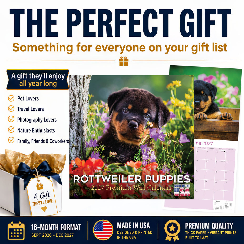 Rottweiler Puppies Wall Calendar 2027 - 12" x 12" Monthly Heartwarming & Playful Rottie Puppy Breed Calendar