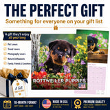 Rottweiler Puppies Wall Calendar 2027 - 12" x 12" Monthly Heartwarming & Playful Rottie Puppy Breed Calendar