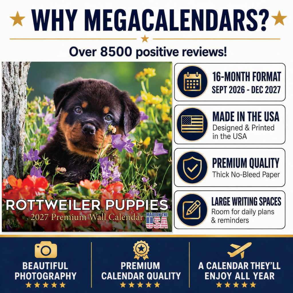 Rottweiler Puppies Wall Calendar 2027 - 12" x 12" Monthly Heartwarming & Playful Rottie Puppy Breed Calendar