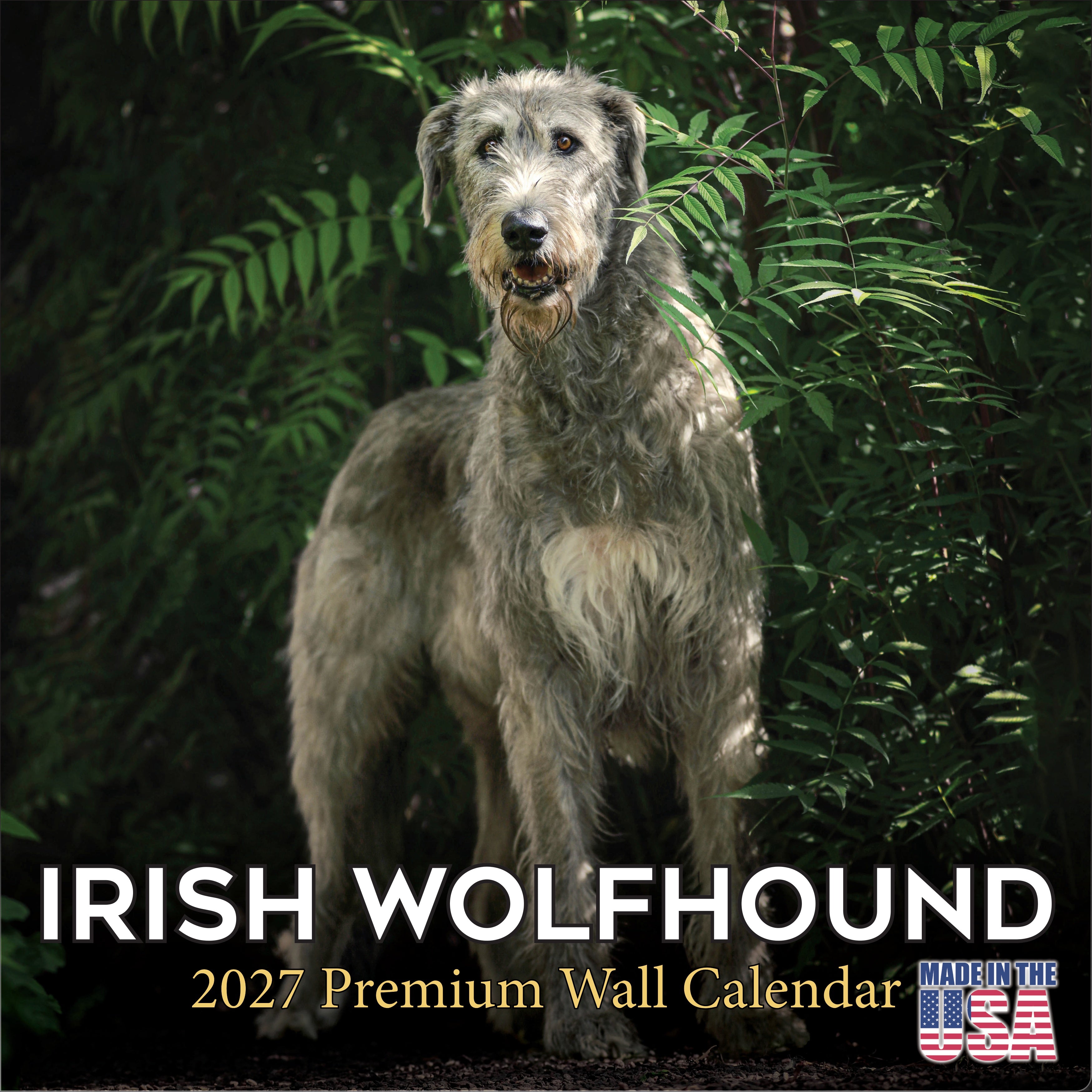 Irish Wolfhound Wall Calendar 2027 - 12