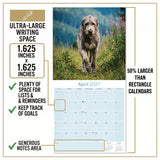 Irish Wolfhound Wall Calendar 2027 - 12" x 12" Monthly Noble Giant & Wire-Coated Sighthound Breed Calendar