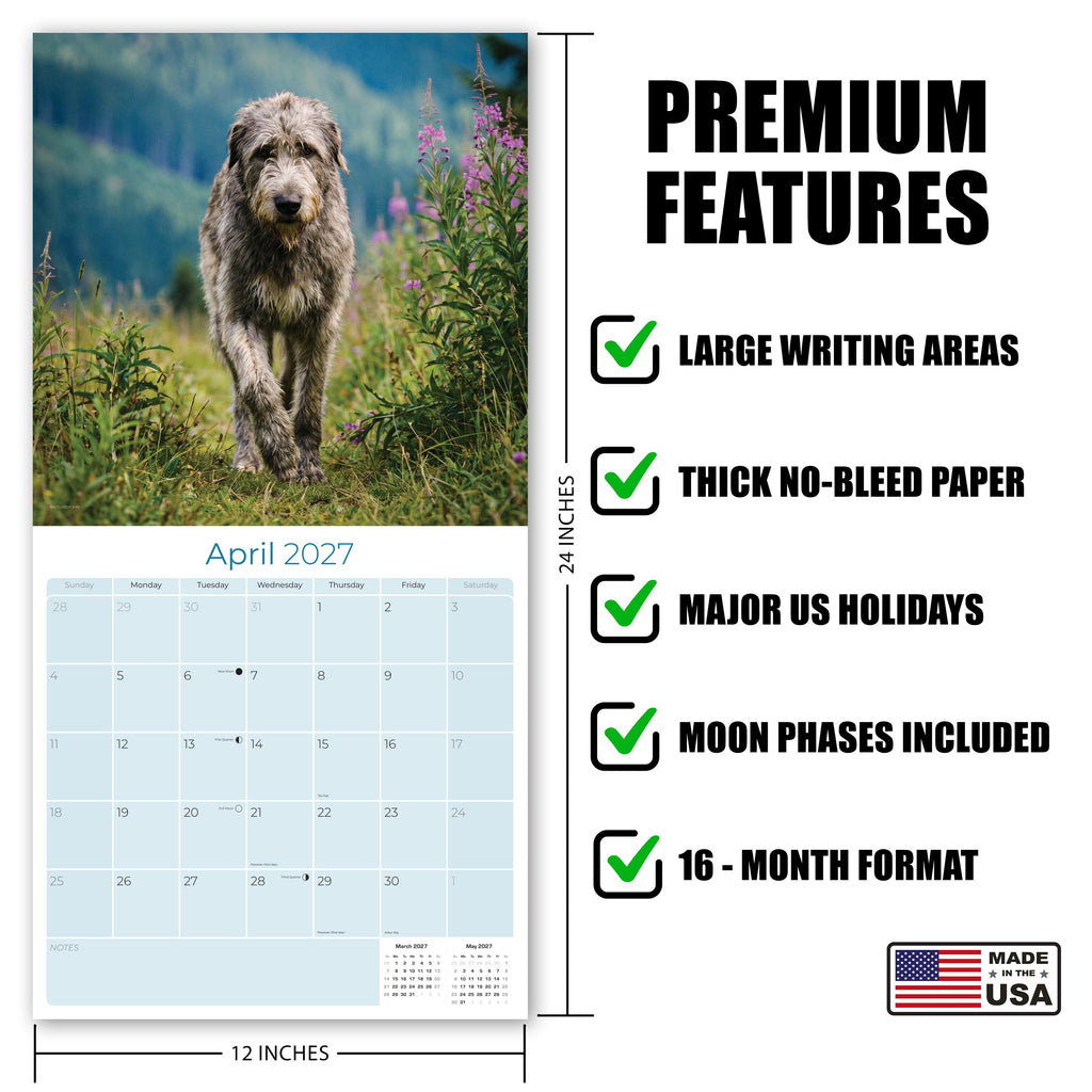 Irish Wolfhound Wall Calendar 2027 - 12" x 12" Monthly Noble Giant & Wire-Coated Sighthound Breed Calendar