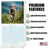 Irish Wolfhound Wall Calendar 2027 - 12" x 12" Monthly Noble Giant & Wire-Coated Sighthound Breed Calendar