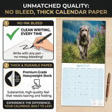 Irish Wolfhound Wall Calendar 2027 - 12" x 12" Monthly Noble Giant & Wire-Coated Sighthound Breed Calendar