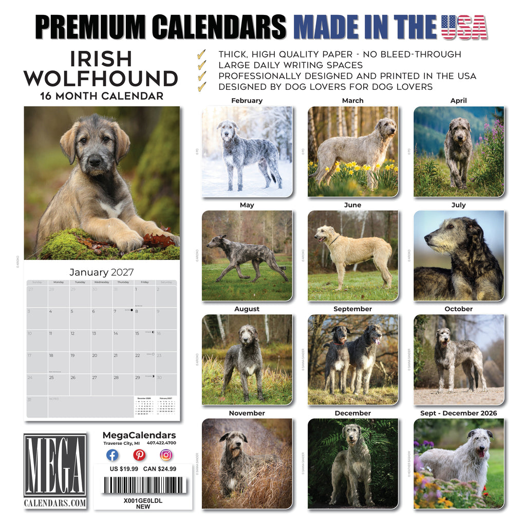 Irish Wolfhound Wall Calendar 2027 - 12" x 12" Monthly Noble Giant & Wire-Coated Sighthound Breed Calendar