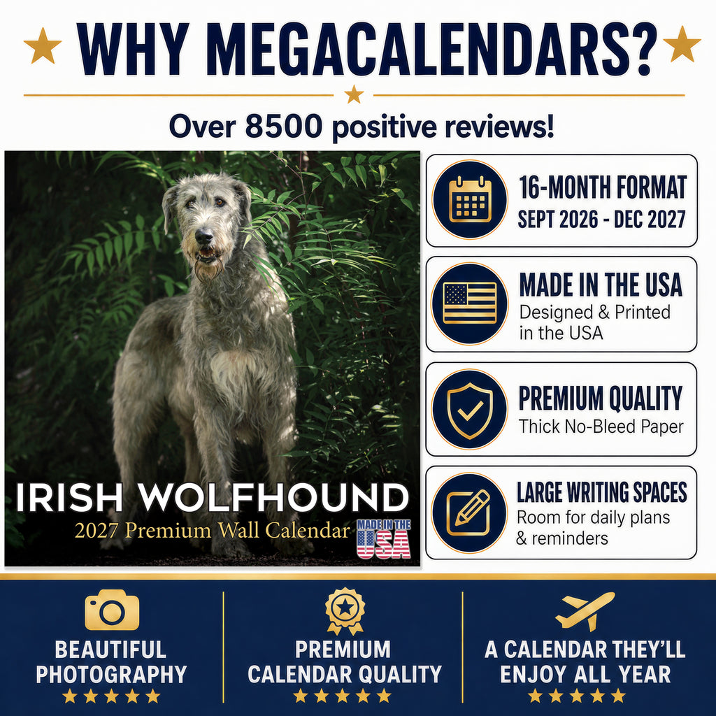 Irish Wolfhound Wall Calendar 2027 - 12" x 12" Monthly Noble Giant & Wire-Coated Sighthound Breed Calendar