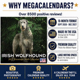 Irish Wolfhound Wall Calendar 2027 - 12" x 12" Monthly Noble Giant & Wire-Coated Sighthound Breed Calendar