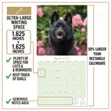 Schipperke Wall Calendar 2027 - 12" x 12" Monthly Curious & Energetic Schipperke Dog Breed Calendar