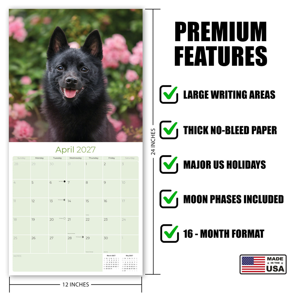 Schipperke Wall Calendar 2027 - 12" x 12" Monthly Curious & Energetic Schipperke Dog Breed Calendar